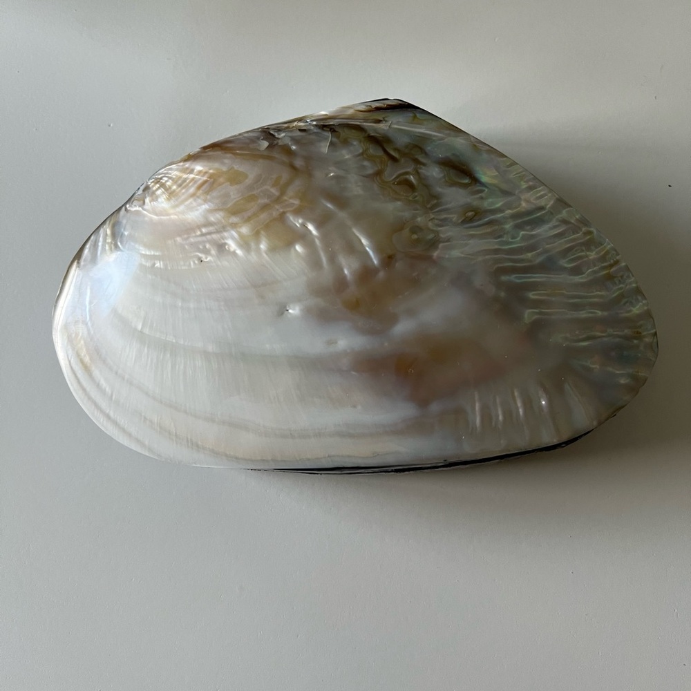 Seashell Jewelry Box